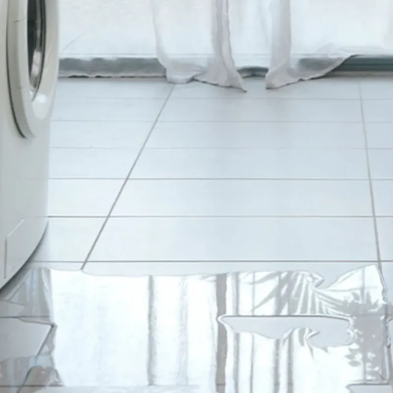 Appliance Leak Cleanup in Eustis, FL
